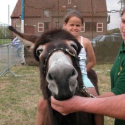 DSCN1500 - Scouts en Gidsen Zaventem 